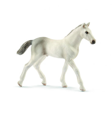 schleich HORSE CLUB Holstein Veulen 13860