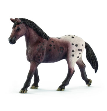 schleich HORSE CLUB Appaloosa Merrie 13861