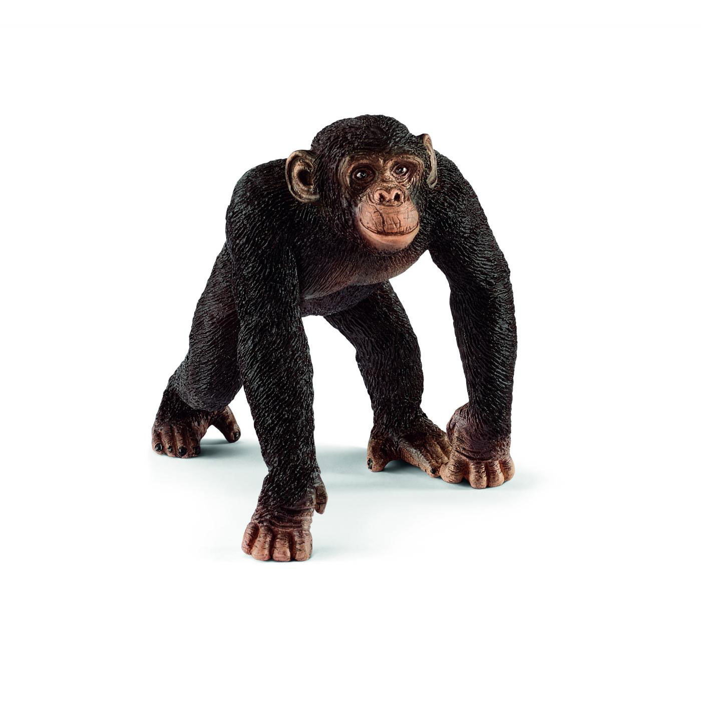 schleich WILD LIFE Mannelijke Chimpansee 14817