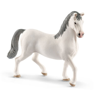 schleich HORSE CLUB Lipizzan Hengst 13887