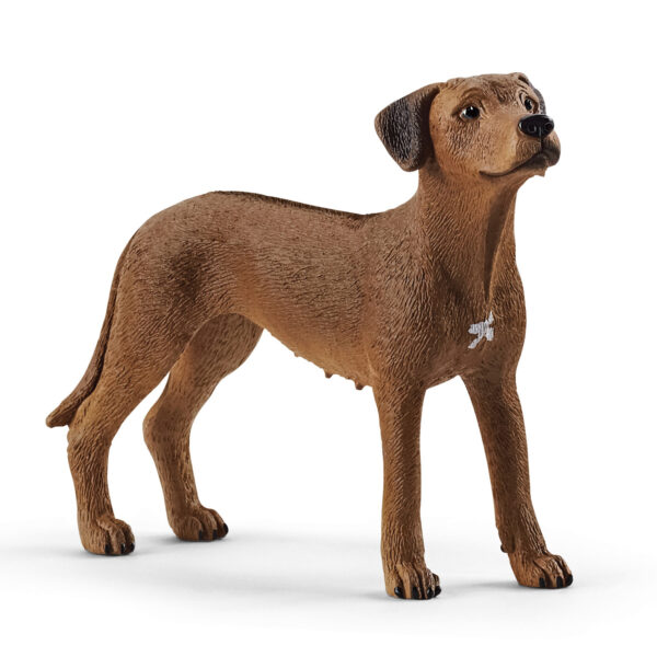 schleich FARM WORLD Rhodesian Ridgeback 13895