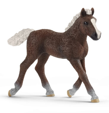 schleich HORSE CLUB Zwarte Woud Veulen 13899