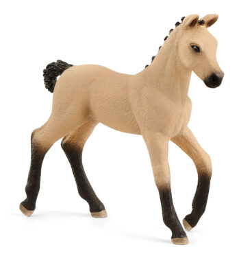 schleich HORSE CLUB Hannover Veulen Rfalbe 13929