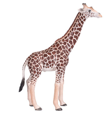 Mojo Wildlife Giraf Mannetje - 381008