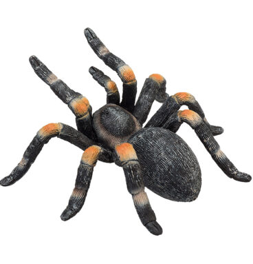 Mojo Wildlife Rode Tarantula - 387213