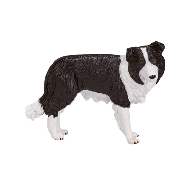 Mojo Farmland Border Collie - 387203