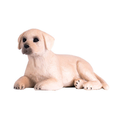 Mojo Farmland Labrador Puppy - 387272