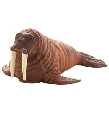 Mojo Sealife Walrus 387209