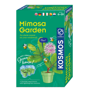 Kosmos Mimosa Planten Kweken