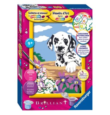 Schilderen op Nummer - Dalmatier Puppy