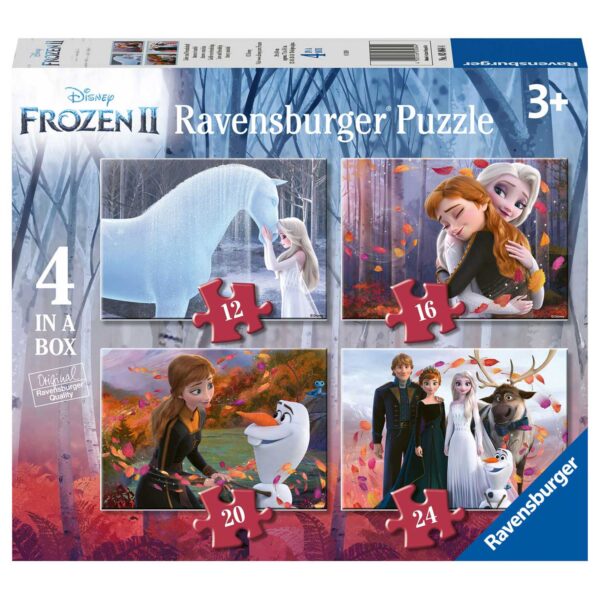 Disney Frozen Liefde en Vriendschap