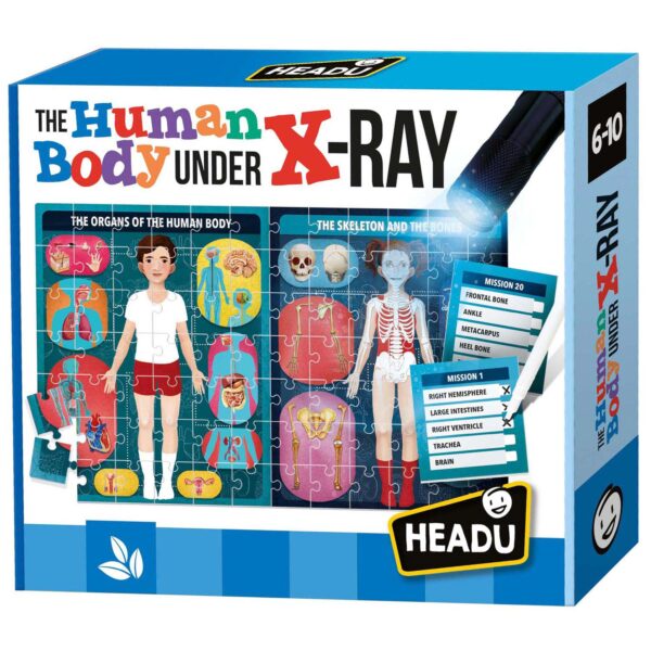 Headu The Human Body Under the X-Ray Puzzel Spel (EN)