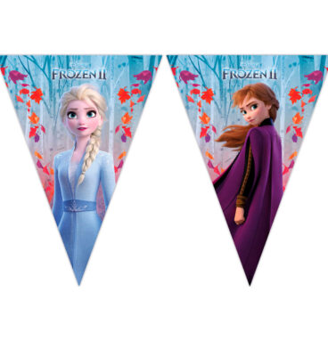 Disney Frozen 2 Vlaggenlijn