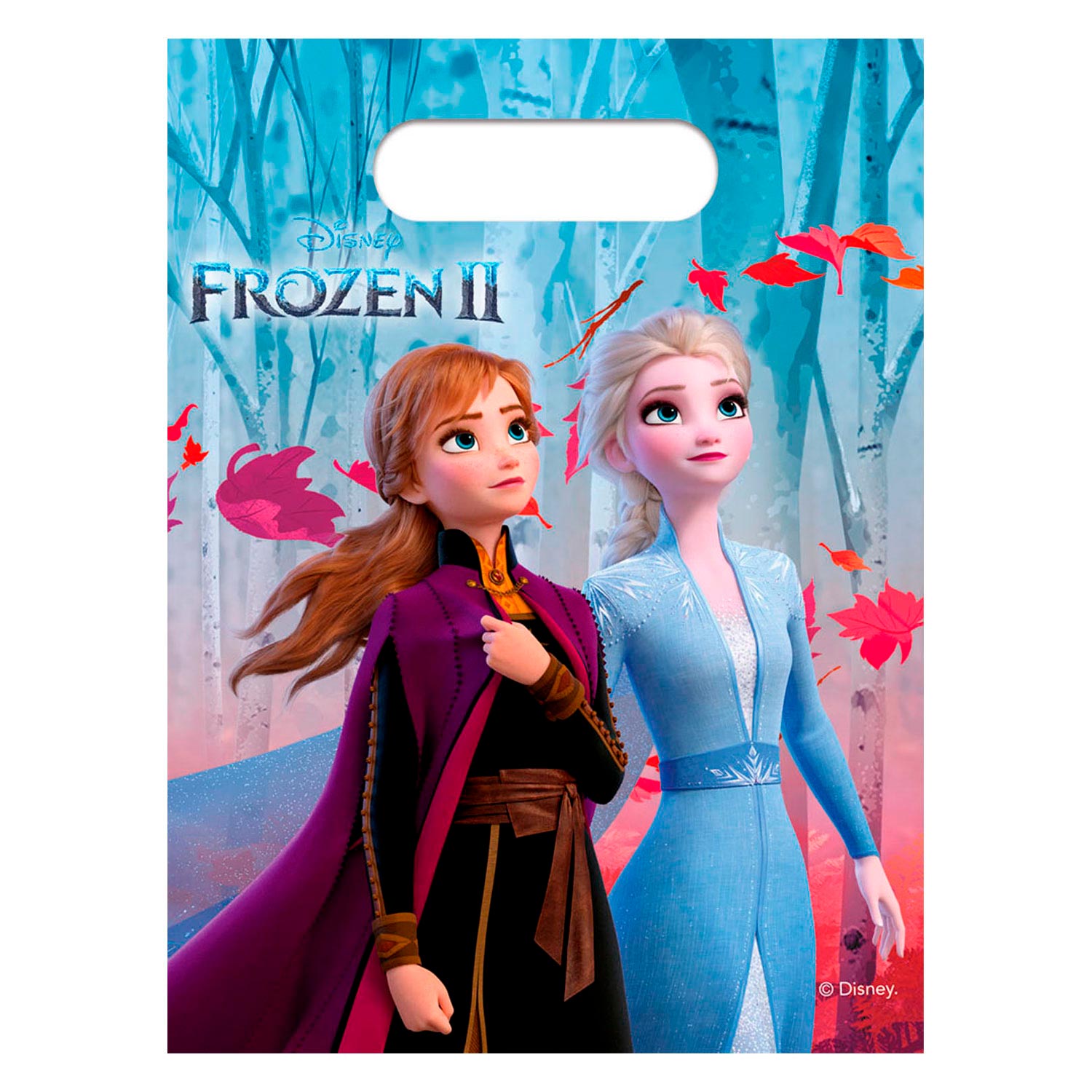 Disney Frozen 2 Uitdeelzakjes