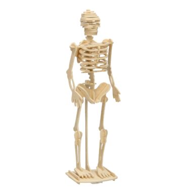 Houten Bouwpakket - Skelet