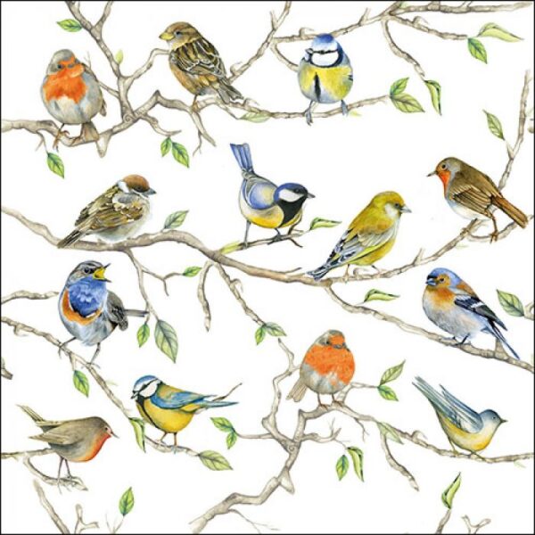 Ambiente Servetten Birds Meeting 25cm 20 Stuks