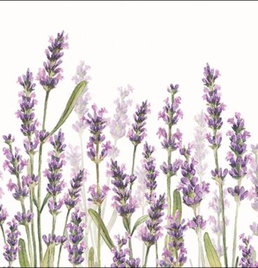 Ambiente Servetten Lavender Shades White 33x33cm