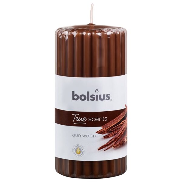 Bolsius Stompkaars Geur True Scents Oud Wood 120/58