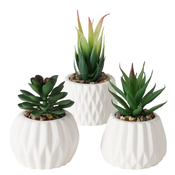 Boltze Home Kunstplant Vetplant In Stenen Pot Wit H15cm B7cm