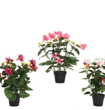 Decoris Kunststof Plant Fuchsia In Kunststof Pot Zwart L30-B30-H30cm