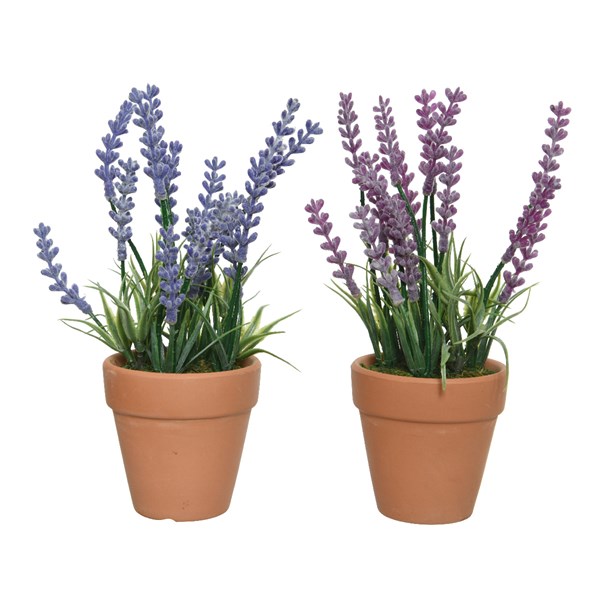 Decoris Lavendel In Terracotta Pot Kunstplant Groen Ø6xH18cm