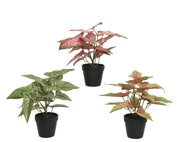 Decoris Plant Polyester In Kunststof Pot L35-W35-H37cm- Verkrijgbaar In 3