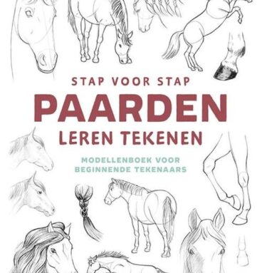 Deltas Stap Voor Stap Paarden Leren Tekenen