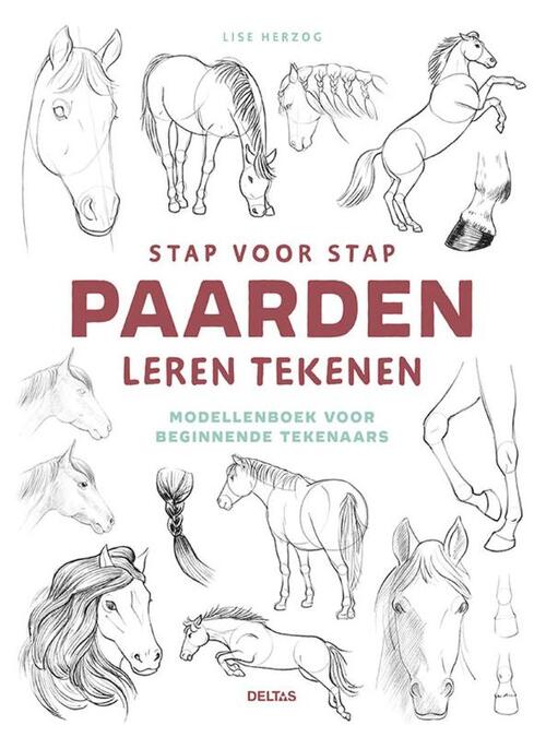 Deltas Stap Voor Stap Paarden Leren Tekenen