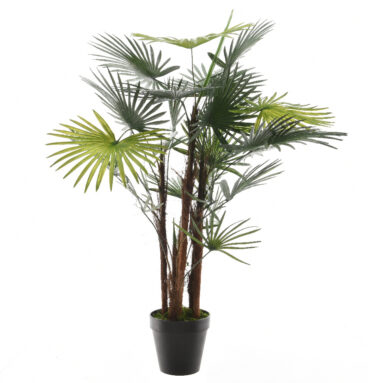 Fortunei Palmboom In Pot Kunststof -H90cm Groen