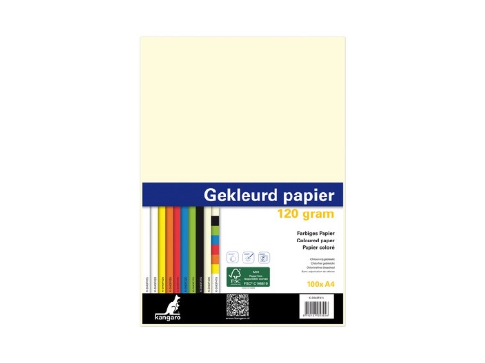 Kopieerpapier A4 120gr 100vel Assorti Kleuren In Pak