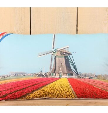 Kussen Fotoprint Hollands Decor 30x50cm