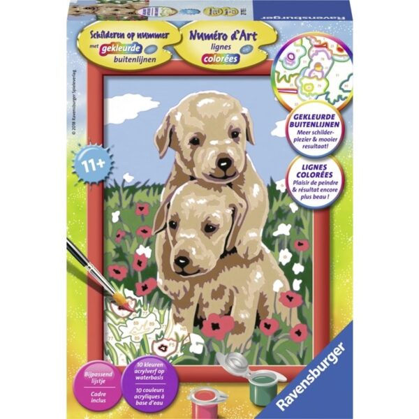 Ravensburger Schilderen Op Nummer Knuffelende Puppies