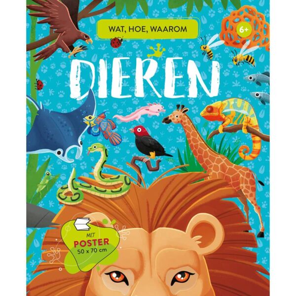 Rebo Dieren - Wat