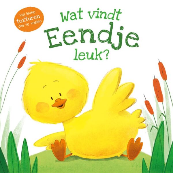 Rebo Wat Vindt Eendje Leuk?