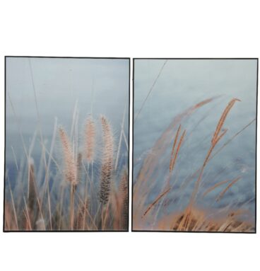 Schilderij Mdf 50x70cm Met Afbeelding Van Pampas Gras